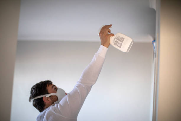 Best Mold Damage Repair  in San Marino, CA