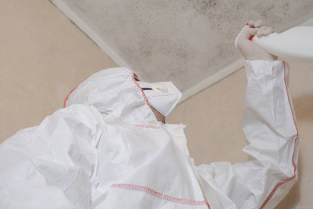 Best Crawl Space Mold Removal  in San Marino, CA