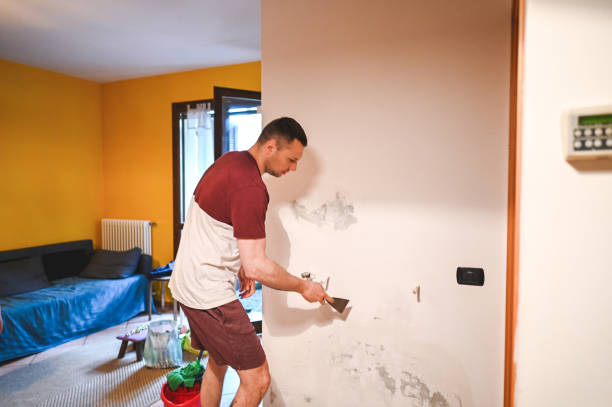Best Mold Remediation  in San Marino, CA
