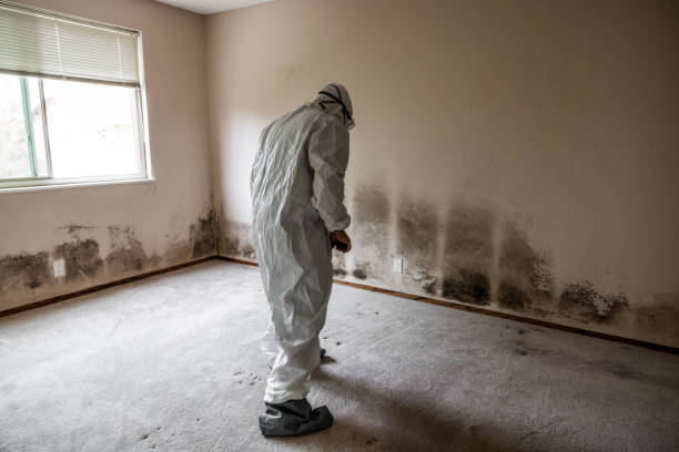 Best Mold Testing  in San Marino, CA